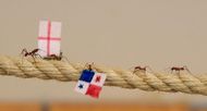 Leaf cutter ants predict England outcome